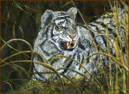 Original Artwork by Stephen Ince